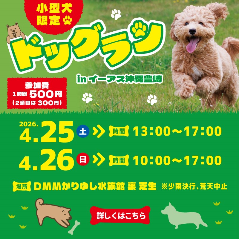 小型犬限定　ドッグランinイーアス沖縄豊崎