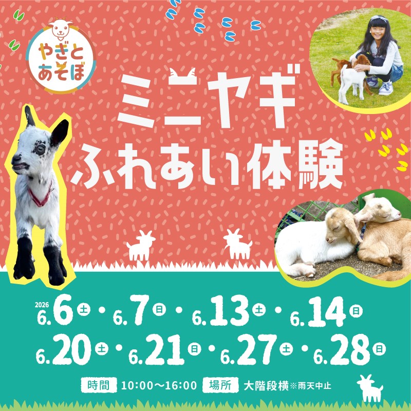 ミニヤギふれあい体験
