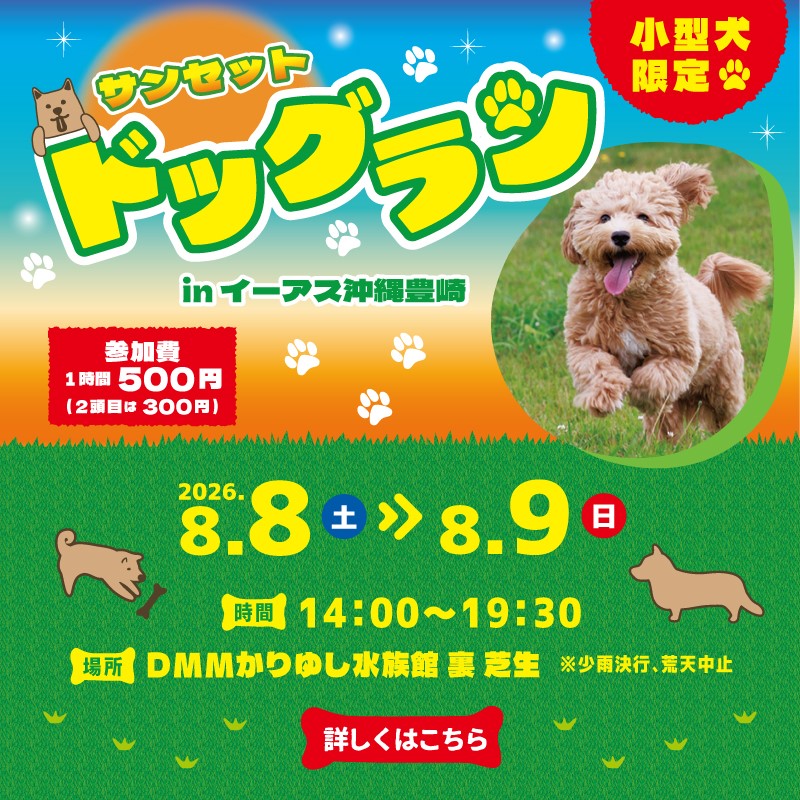 サンセット ドッグラン in イーアス沖縄豊崎