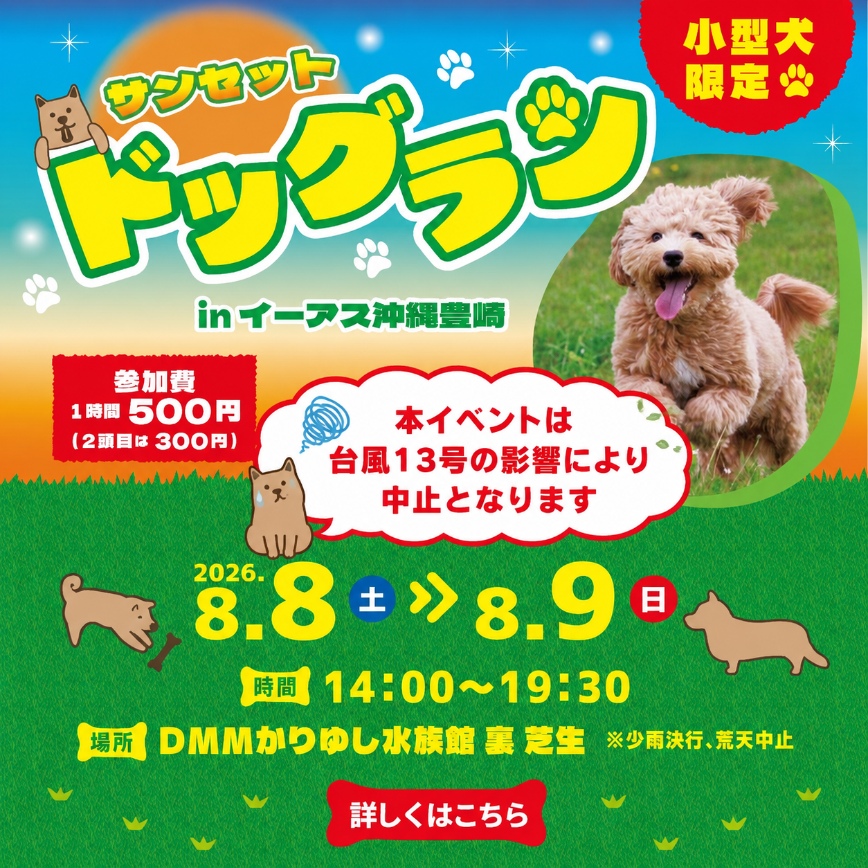 サンセット ドッグラン in イーアス沖縄豊崎