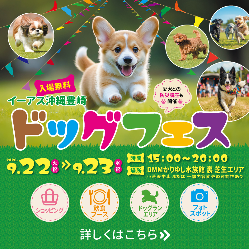 ドッグフェス 愛犬グッズショッピング、飲食ブース、ドッグラン、フォトスポットなど